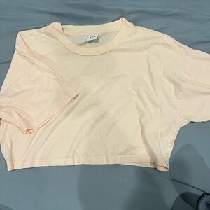 Aritzia TNA Crop Tee